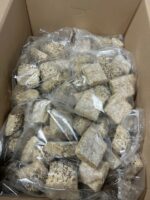 Meergranenbroodje mini 160 stuks a 40g - Afbeelding 2