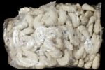 Croissant 105x80 gram - Afbeelding 2