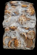Voetbalbroodje 75x90 gram - Afbeelding 2