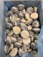 Kaiserbroodje maanzaad 100x55 gram - Afbeelding 2