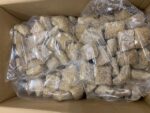 Mini zonnebloem broodjes 200 x 40 gram - Afbeelding 2