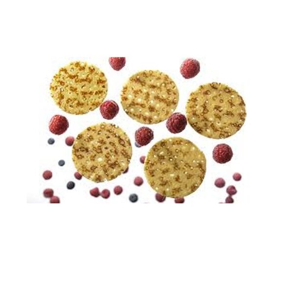 Pannenkoekje ''dessert'' 100 x 20 gram totaal 2 kilo ''American pancakes''