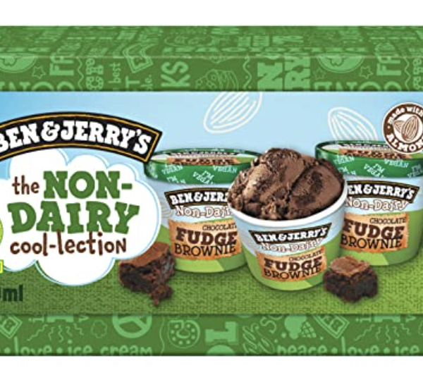 6 dozen x 3 bekers Ben & Jerry's IJs Non Diary Chocolate Fudge Brownie Dessert 100ml