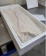 ca 10 kilo Zeewolf filet Vacuüm per stuk verpakt - Afbeelding 4