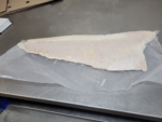 ca 10 kilo Zeewolf filet Vacuüm per stuk verpakt - Afbeelding 3