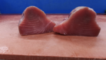 18 kilo Tonijn Filet - Afbeelding 2