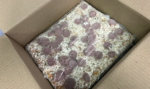32 steenoven pizza SALAMI 12x14 cm  Dr.Oektker profesional - Afbeelding 4