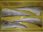Alaska Pollak met huid en graat interleaved 150-200gram 3 x 6,5 kilo doos