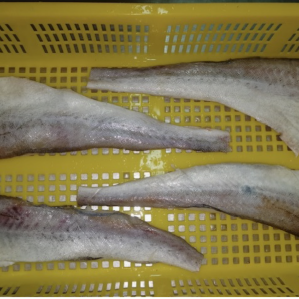 Alaska Pollak met huid en graat interleaved 150-200gram 3 x 6,5 kilo doos