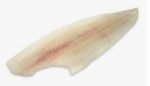 Atlantische Tong Filets 10 kilo IQF per stuk verpakt 80/120gram