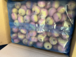 Mini Berliner Bollen met Aardbeiglazuur 90 stuks - Afbeelding 4