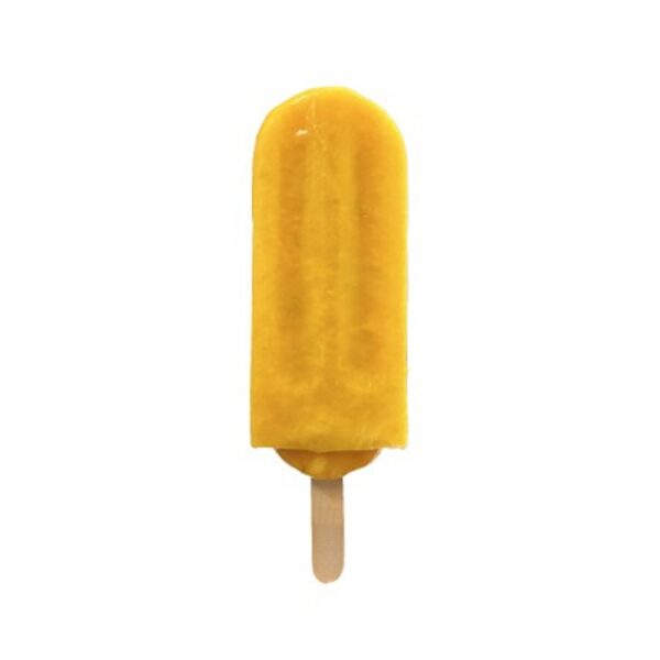 Mango & Passion Fruit IJs 80 ijsjes 20 dozen met 4 ijsjes