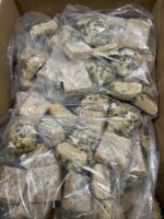 Pompoenpitten Broodjes 200 stuks a 40 gram - Afbeelding 2