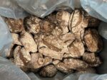 Ciabattina Rustiek Volkoren 50x120 gram - Afbeelding 2