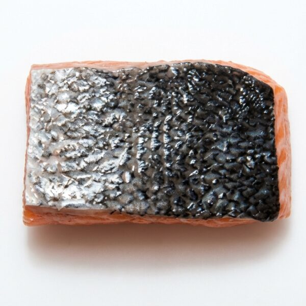 zalm porties