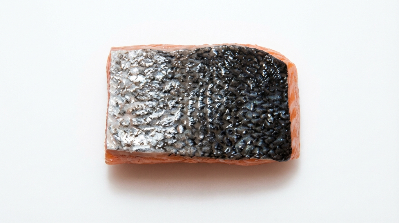 zalm porties zalm porties
