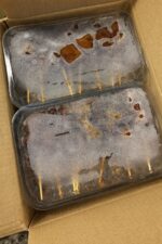 Kipsatéspies 6x400 gram - Afbeelding 2
