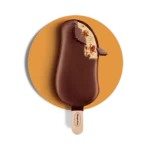 Häagen-Dazs Salted Caramel Sticks 24 x 80 ml | Diepvries