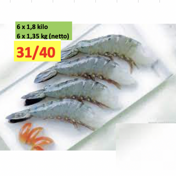 6 x 1.8 kilo Black Tiger HLSO 31/40  Blok 75% ( netto 6 x 1.35 kilo ) Penaeus Monodon