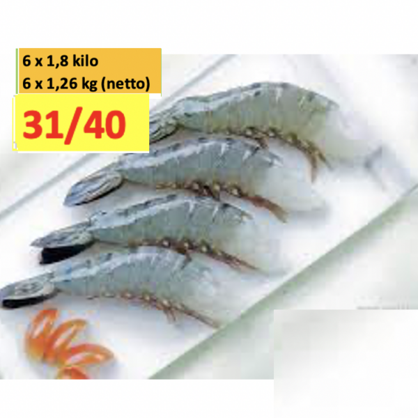 6 x 1.8 kilo Black Tiger 31/40 HLSO Blok 70% ( netto 6 x 1.26 kilo ) Penaeus Monodon