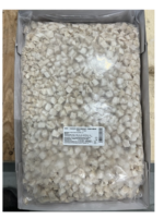 Kipfilet voorgekookte kipblokjes 13MM IQF 7,5 kilo - Afbeelding 2