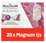 Magnum Michelangelo 20x90ml