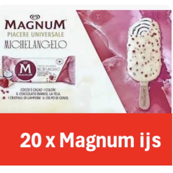 Magnum Michelangelo 20x90ml