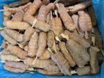 Vegetarisch Kipspiesjes 3 kilo - Afbeelding 2